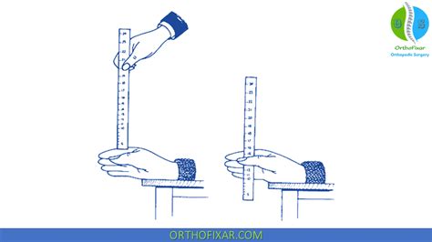 ruler drop different tests|ruler drop test meaning.